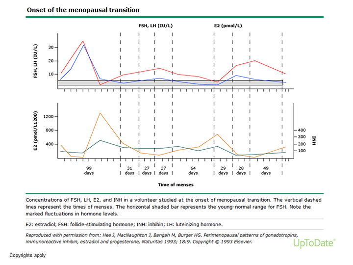 Menopausal transition hormone chart